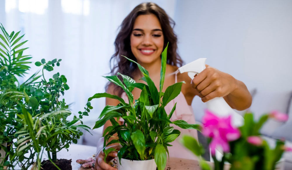 تقویت تمرکز با نگهداری از گل و گیاه در خانه